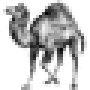 perl_logo_icon.png